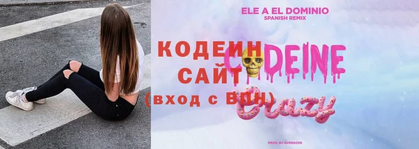 прущие грибы Медвежьегорск