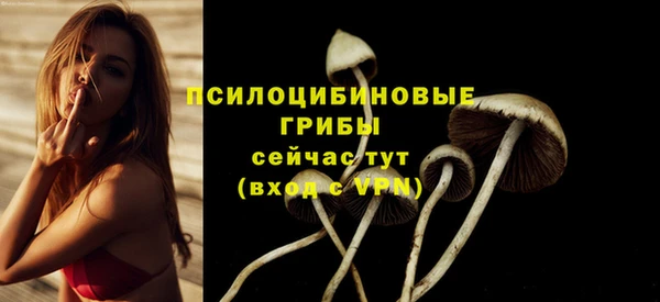 не бодяженный Домодедово