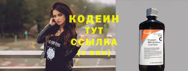 прущие грибы Медвежьегорск