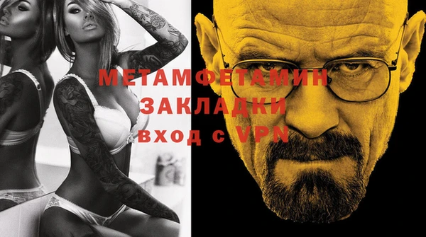 прущие грибы Медвежьегорск