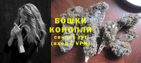 прущие грибы Медвежьегорск
