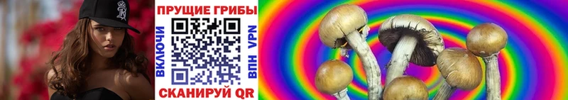 Псилоцибиновые грибы MAGIC MUSHROOMS  сколько стоит  Микунь 